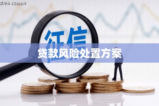 鄂尔多斯贷款风险处置方案