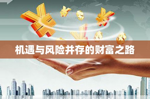 鄂尔多斯机遇与风险并存的财富之路