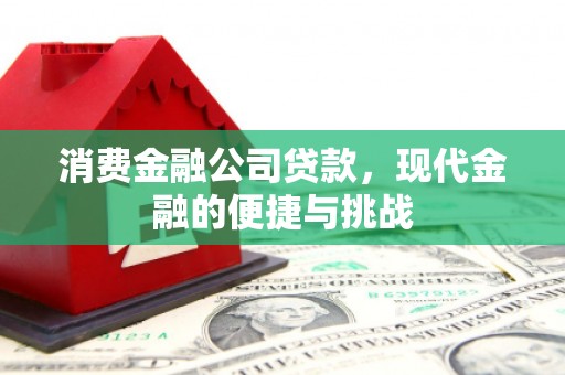 鄂尔多斯消费金融公司贷款，现代金融的便捷与挑战