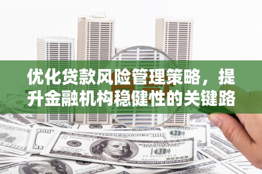 鄂尔多斯优化贷款风险管理策略，提升金融机构稳健性的关键路径