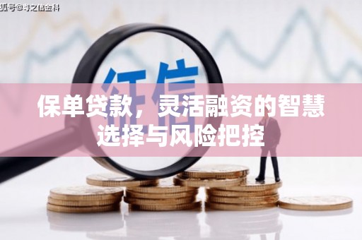 鄂尔多斯保单贷款，灵活融资的智慧选择与风险把控