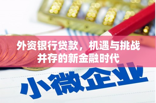 鄂尔多斯外资银行贷款，机遇与挑战并存的新金融时代