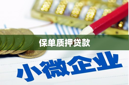 鄂尔多斯保单质押贷款