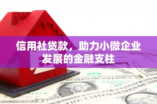 鄂尔多斯信用社贷款，助力小微企业发展的金融支柱