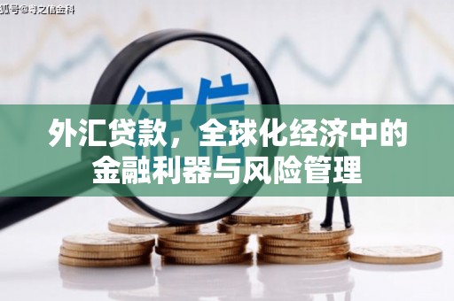 鄂尔多斯外汇贷款，全球化经济中的金融利器与风险管理