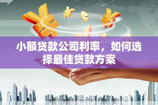 鄂尔多斯小额贷款公司利率，如何选择最佳贷款方案