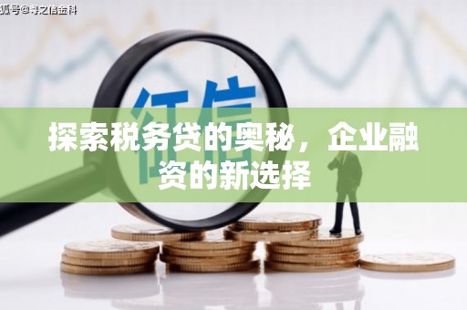 鄂尔多斯探索税务贷的奥秘，企业融资的新选择