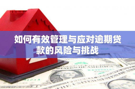 鄂尔多斯如何有效管理与应对逾期贷款的风险与挑战