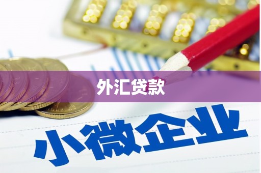 鄂尔多斯外汇贷款