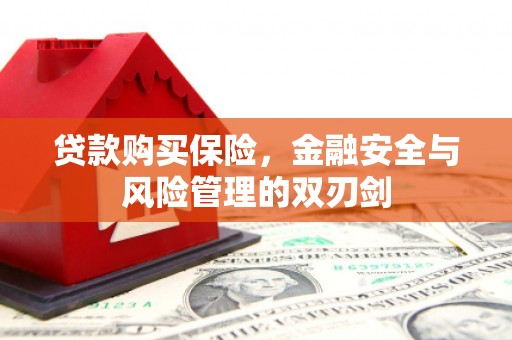 鄂尔多斯贷款购买保险，金融安全与风险管理的双刃剑