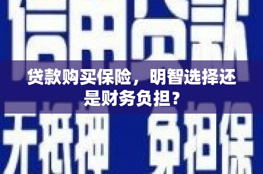 鄂尔多斯贷款购买保险，明智选择还是财务负担？