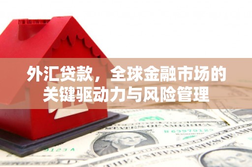 鄂尔多斯外汇贷款，全球金融市场的关键驱动力与风险管理