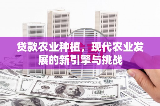 鄂尔多斯贷款农业种植，现代农业发展的新引擎与挑战