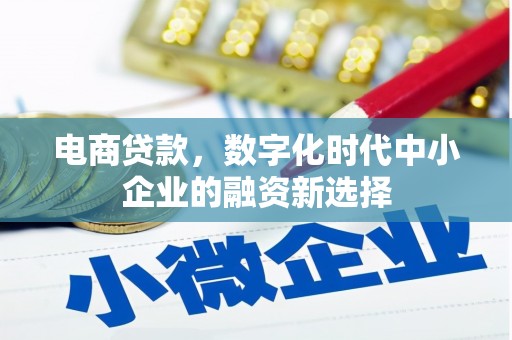 鄂尔多斯电商贷款，数字化时代中小企业的融资新选择