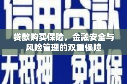 鄂尔多斯贷款购买保险，金融安全与风险管理的双重保障