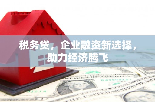 鄂尔多斯税务贷，企业融资新选择，助力经济腾飞