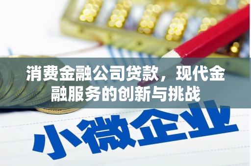 鄂尔多斯消费金融公司贷款，现代金融服务的创新与挑战