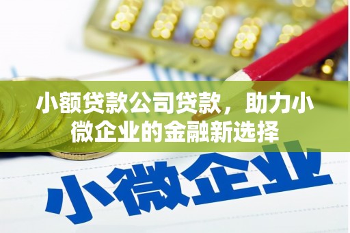 鄂尔多斯小额贷款公司贷款，助力小微企业的金融新选择