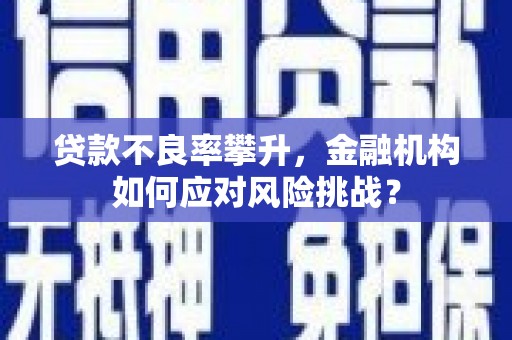 鄂尔多斯贷款不良率攀升，金融机构如何应对风险挑战？