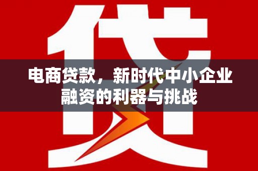 鄂尔多斯电商贷款，新时代中小企业融资的利器与挑战
