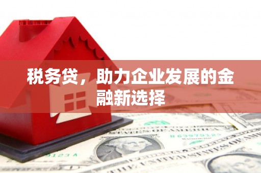 鄂尔多斯税务贷，助力企业发展的金融新选择