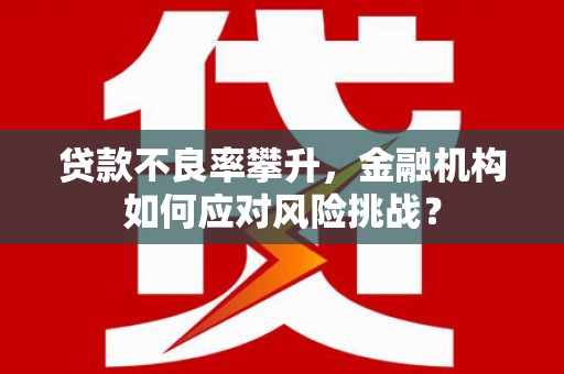 鄂尔多斯贷款不良率攀升，金融机构如何应对风险挑战？