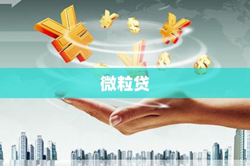 鄂尔多斯微粒贷