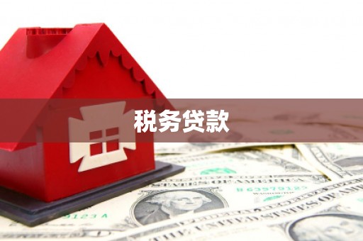 鄂尔多斯税务贷款