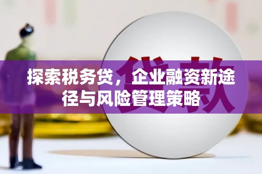 鄂尔多斯探索税务贷，企业融资新途径与风险管理策略