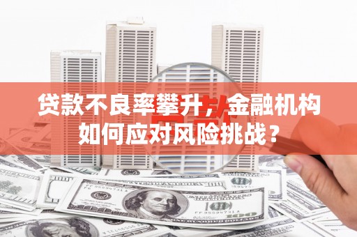 鄂尔多斯贷款不良率攀升，金融机构如何应对风险挑战？