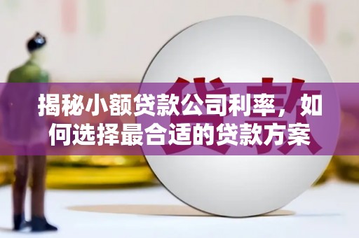 鄂尔多斯揭秘小额贷款公司利率，如何选择最合适的贷款方案