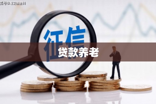 鄂尔多斯贷款养老