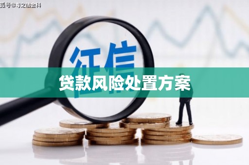 鄂尔多斯贷款风险处置方案
